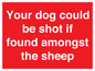 PV12026: Your dog could be shot if found amongst the sheep