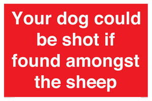 PV12026: Your dog could be shot if found amongst the sheep