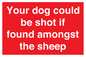 PV12026: Your dog could be shot if found amongst the sheep