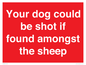 PV12026: Your dog could be shot if found amongst the sheep