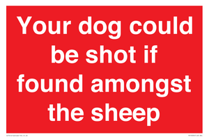 PV12026: Your dog could be shot if found amongst the sheep