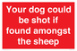 PV12026: Your dog could be shot if found amongst the sheep