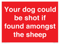 PV12026: Your dog could be shot if found amongst the sheep