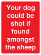 PV12026: Your dog could be shot if found amongst the sheep