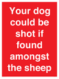 PV12026: Your dog could be shot if found amongst the sheep