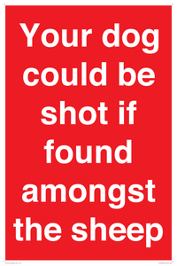 PV12026: Your dog could be shot if found amongst the sheep