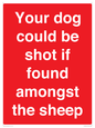 PV12026: Your dog could be shot if found amongst the sheep