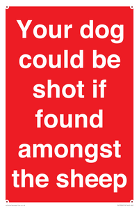 PV12026: Your dog could be shot if found amongst the sheep