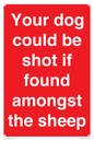 PV12026: Your dog could be shot if found amongst the sheep