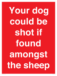 PV12026: Your dog could be shot if found amongst the sheep