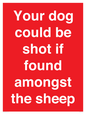 PV12026: Your dog could be shot if found amongst the sheep