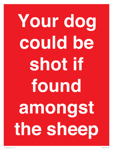 PV12026: Your dog could be shot if found amongst the sheep