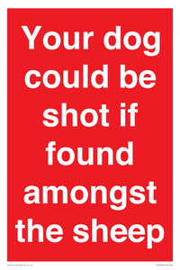 PV12026: Your dog could be shot if found amongst the sheep