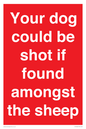 PV12026: Your dog could be shot if found amongst the sheep
