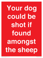 PV12026: Your dog could be shot if found amongst the sheep