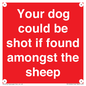 PV12026: Your dog could be shot if found amongst the sheep