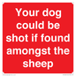 PV12026: Your dog could be shot if found amongst the sheep