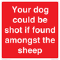 PV12026: Your dog could be shot if found amongst the sheep