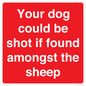 PV12026: Your dog could be shot if found amongst the sheep