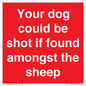 PV12026: Your dog could be shot if found amongst the sheep