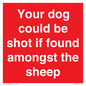 PV12026: Your dog could be shot if found amongst the sheep