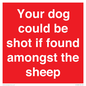 PV12026: Your dog could be shot if found amongst the sheep