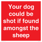 PV12026: Your dog could be shot if found amongst the sheep