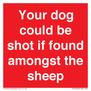 PV12026: Your dog could be shot if found amongst the sheep