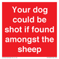 PV12026: Your dog could be shot if found amongst the sheep