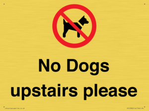 PV12392: No Dogs upstairs please
