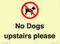 PV12392: No Dogs upstairs please