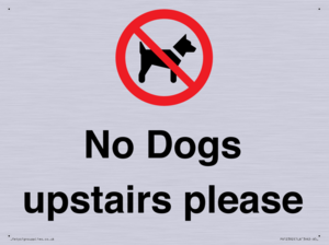 PV12392: No Dogs upstairs please