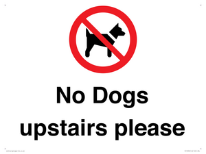 PV12392: No Dogs upstairs please