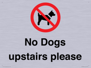 PV12392: No Dogs upstairs please