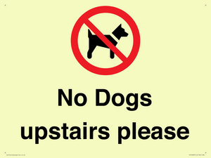 PV12392: No Dogs upstairs please