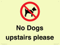 PV12392: No Dogs upstairs please