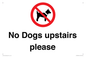 PV12392: No Dogs upstairs please