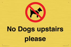 PV12392: No Dogs upstairs please