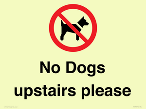 PV12392: No Dogs upstairs please