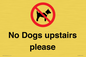 PV12392: No Dogs upstairs please