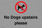 PV12392: No Dogs upstairs please