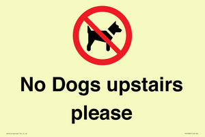 PV12392: No Dogs upstairs please