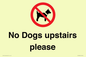 PV12392: No Dogs upstairs please