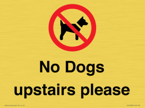 PV12392: No Dogs upstairs please
