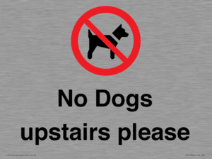 PV12392: No Dogs upstairs please