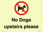 PV12392: No Dogs upstairs please