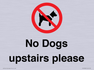 PV12392: No Dogs upstairs please