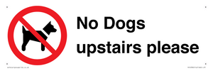 PV12392: No Dogs upstairs please