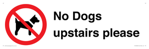 PV12392: No Dogs upstairs please