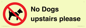 PV12392: No Dogs upstairs please